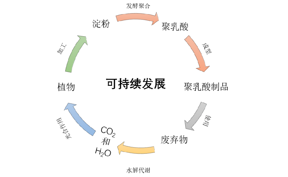 日本首次，100%聚乳酸長(zhǎng)絲商業(yè)化應(yīng)用