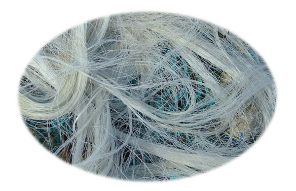 工信部等四部門印發(fā)紡織工業(yè)提質(zhì)升級方案，加強聚乳酸纖維等關(guān)鍵技術(shù)突破，增強生物基等綠色紡織品認證